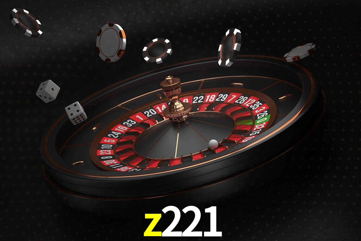 z221.com