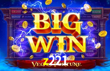 Flash Promotion z221